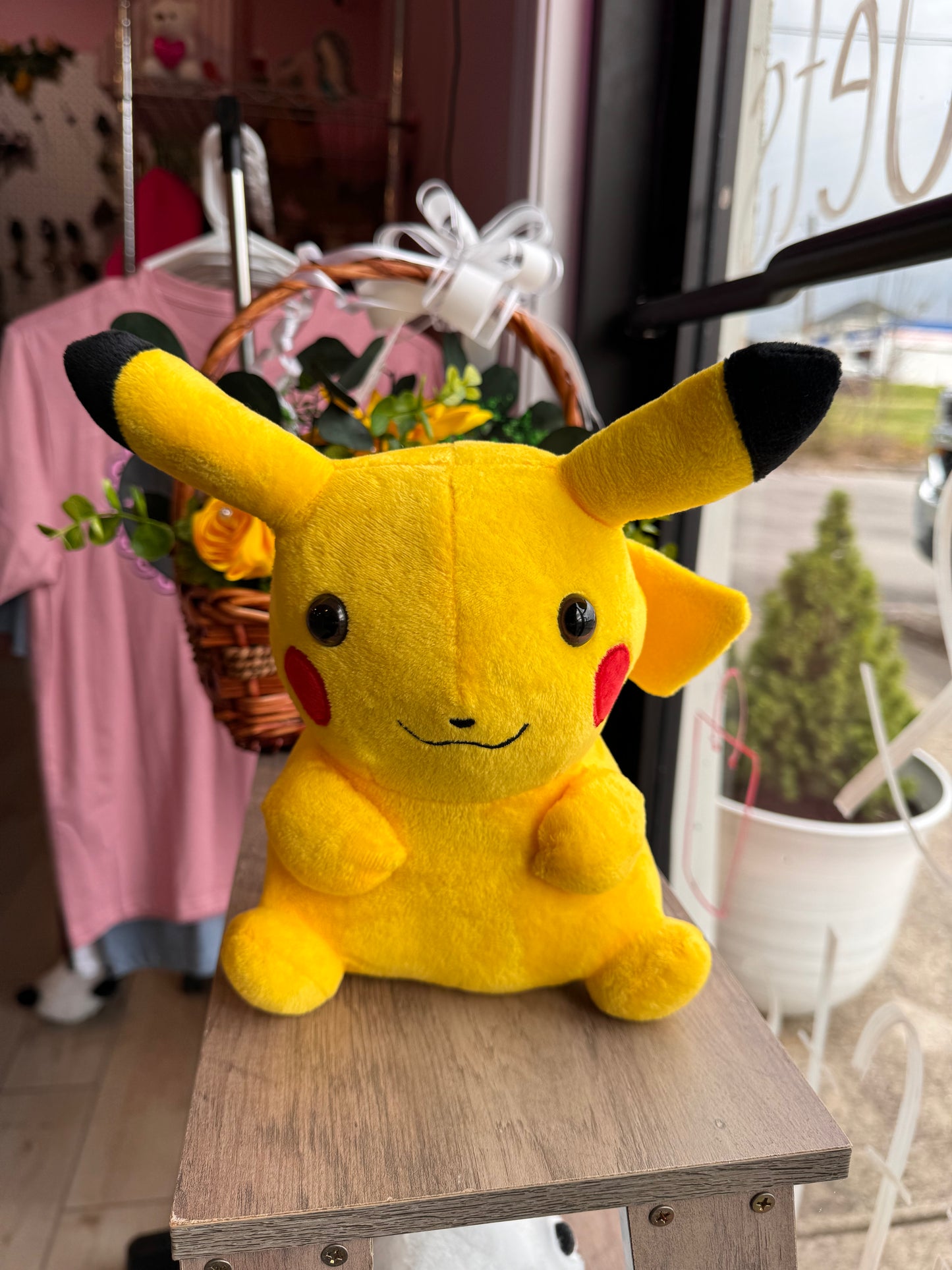 Pokémon plushies