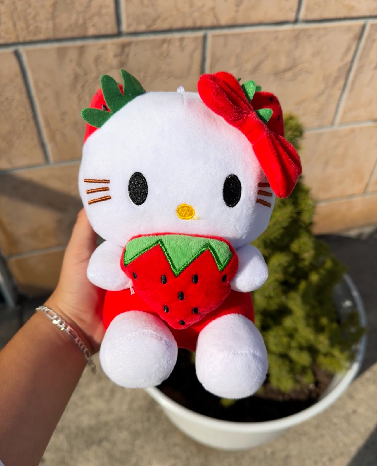 Hello kitty strawberry plushie