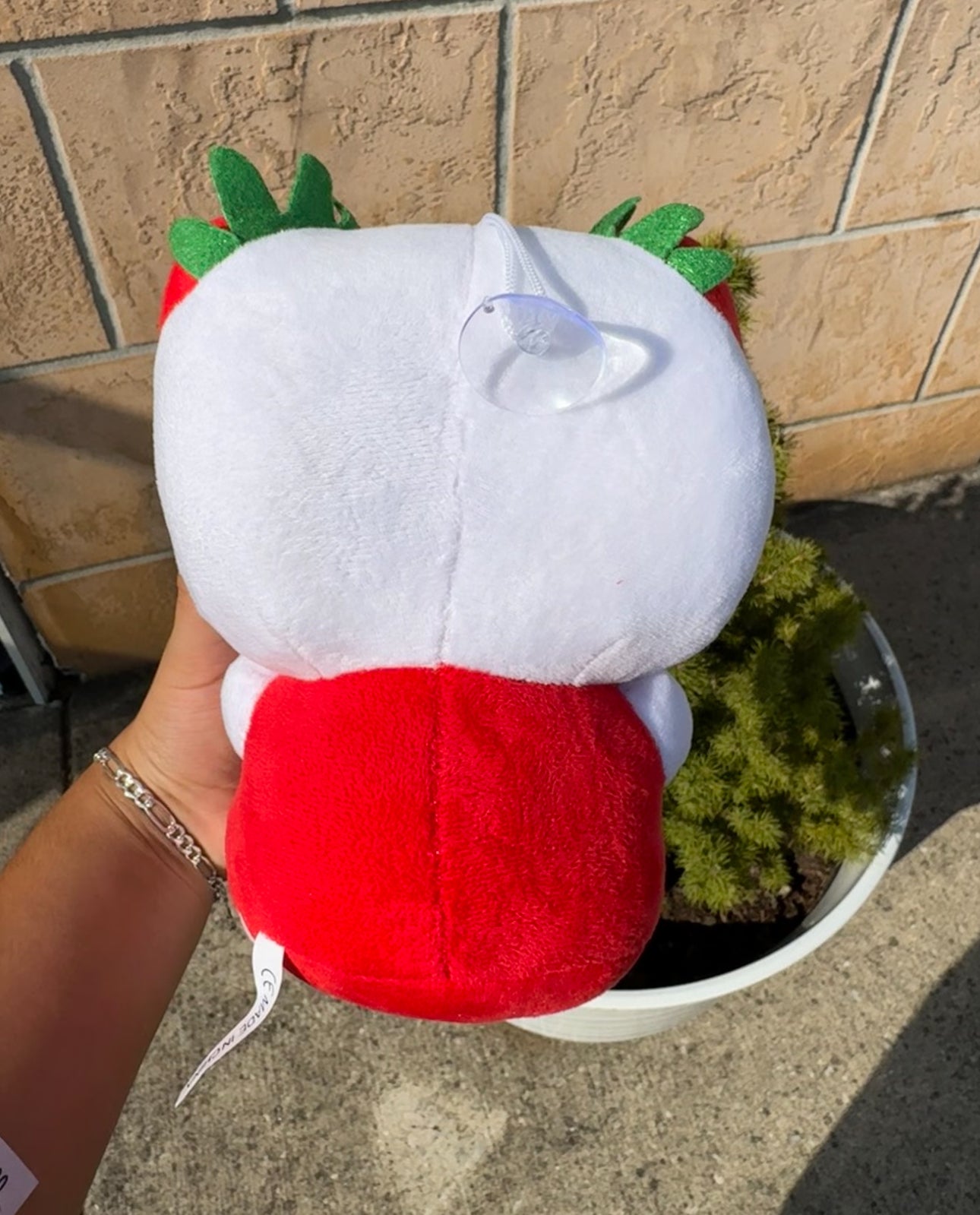 Hello kitty strawberry plushie