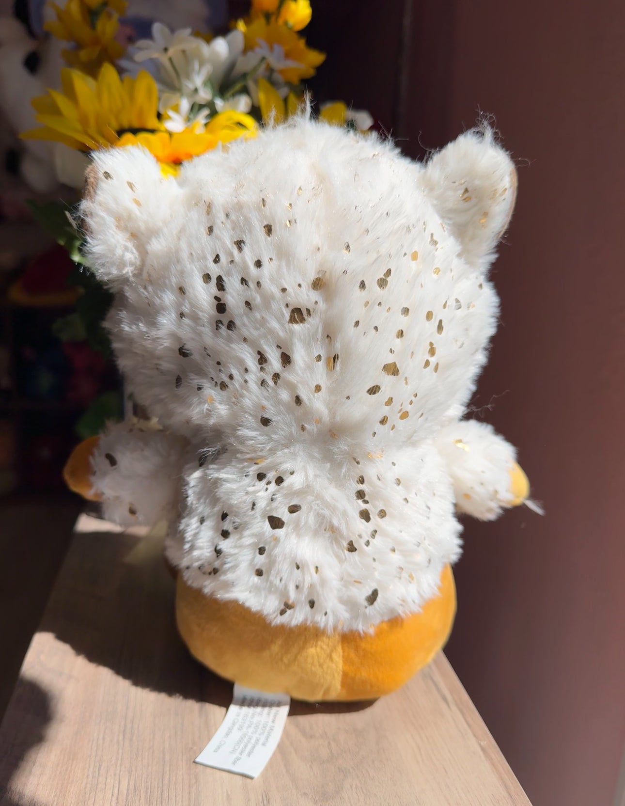 Lion with costume